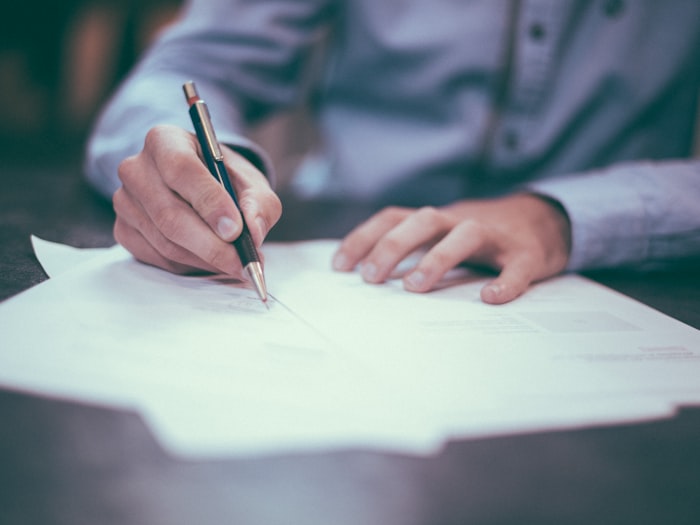 Profesional revisando documentos